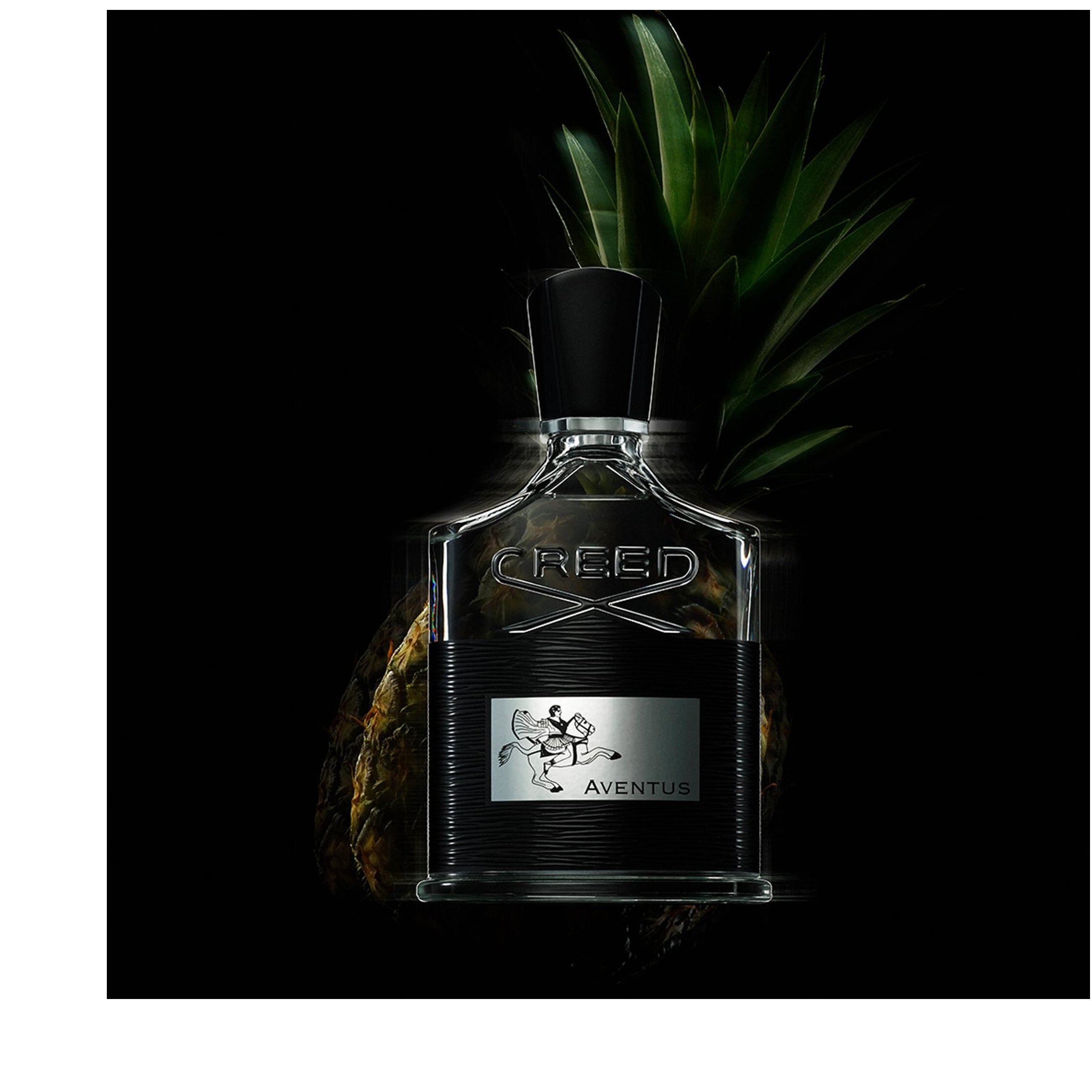 Creed Aventus 100ml - Luxury Men's Fragrance